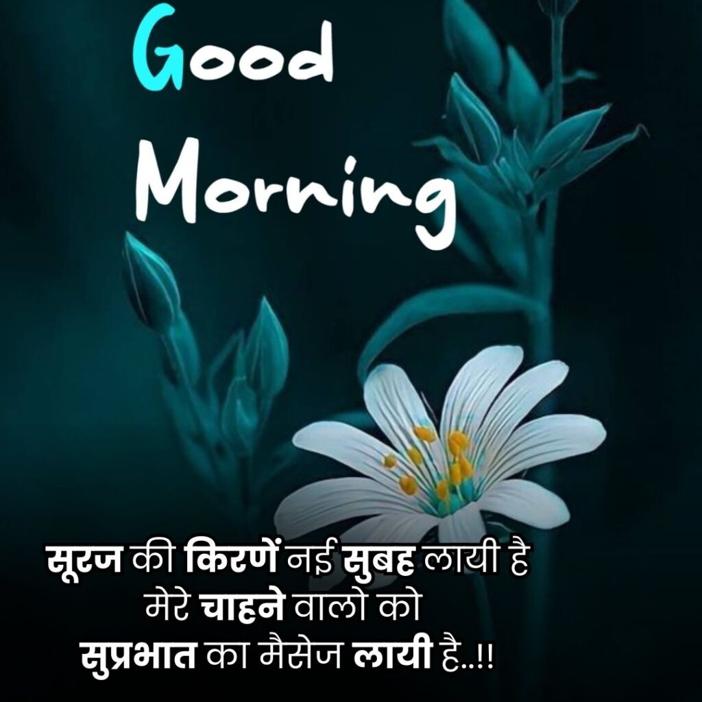 Good morning wishes photo