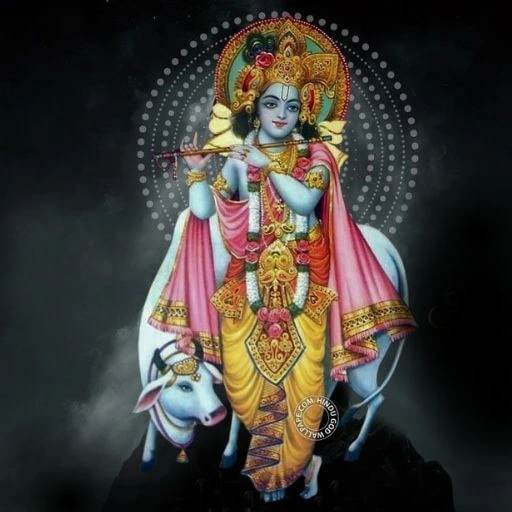 Radha krishna dp