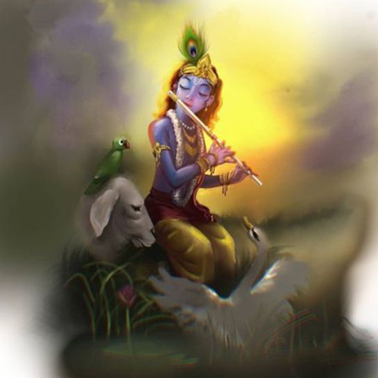 Krishna Images and Wallpapers