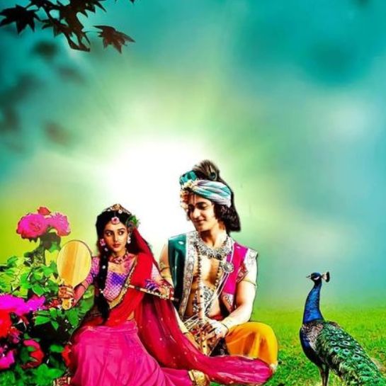 Krishna dp for love