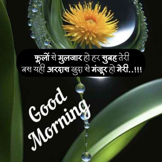 Life Good morning wishes